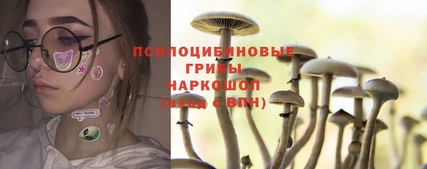 СК Алексин