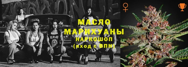 СК Алексин