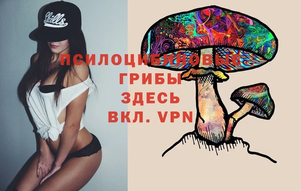 амф Алзамай