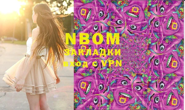 СК Алексин