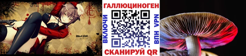 гидра ССЫЛКА  Саянск  Псилоцибиновые грибы мухоморы  даркнет сайт 